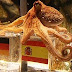 Octopus Paul Is Now An Iphone Application