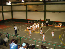 los equipos de voleibol femenino y masculino