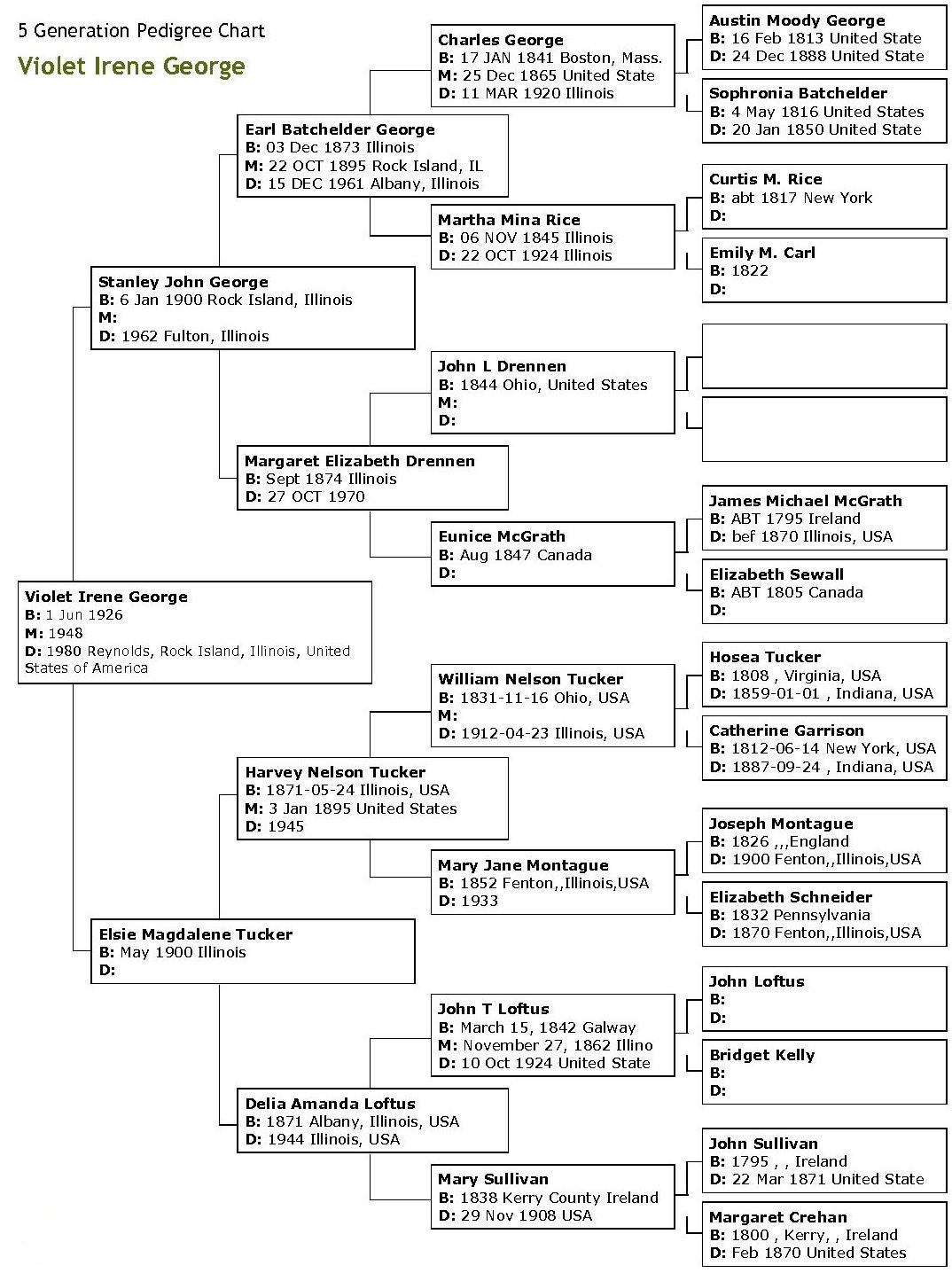 family tree template visio download