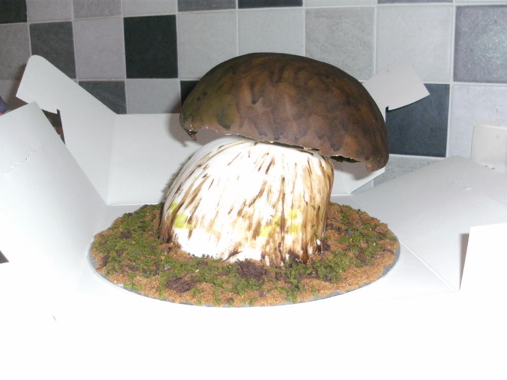 Sam's Cakes: Mushroom Cake