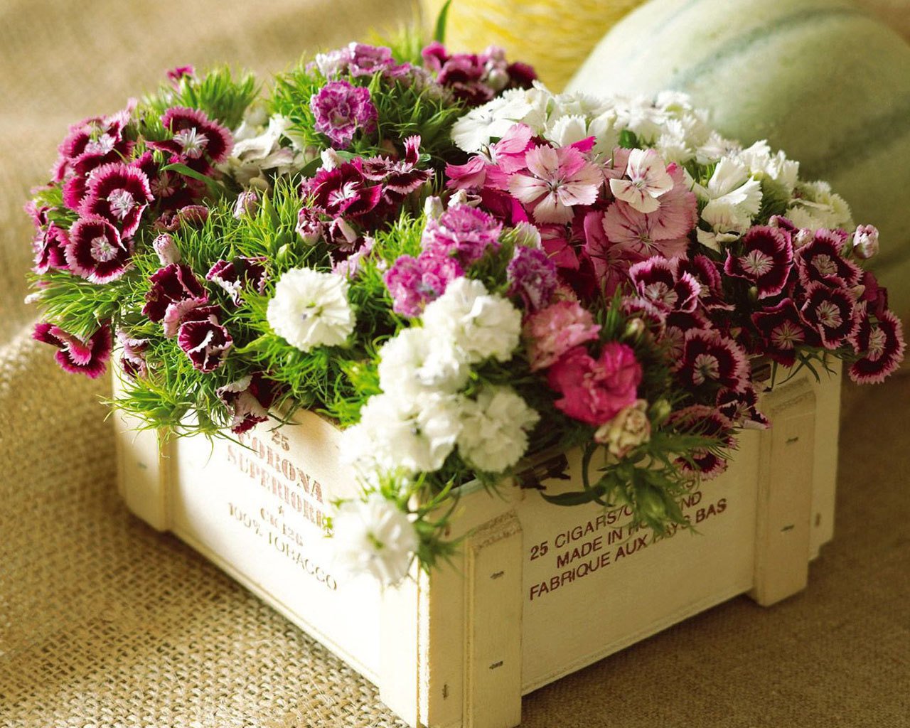 http://2.bp.blogspot.com/_Qu-KxwZh9G4/TBuwMqCWS0I/AAAAAAAATyg/jZ_cHm8-wow/s1600/Flowers-in-box-wallpaper_1280x1024.jpg