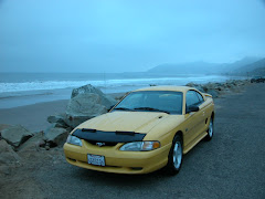 Mustang After