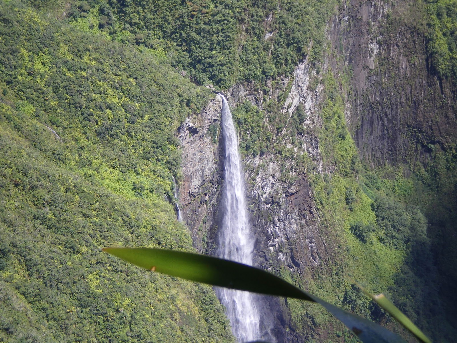 leszhamons à la Réunion La cascade