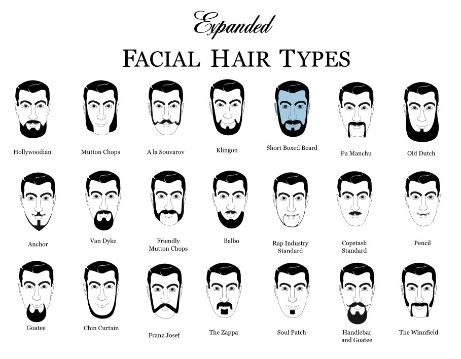 [beardtypes1.jpg]