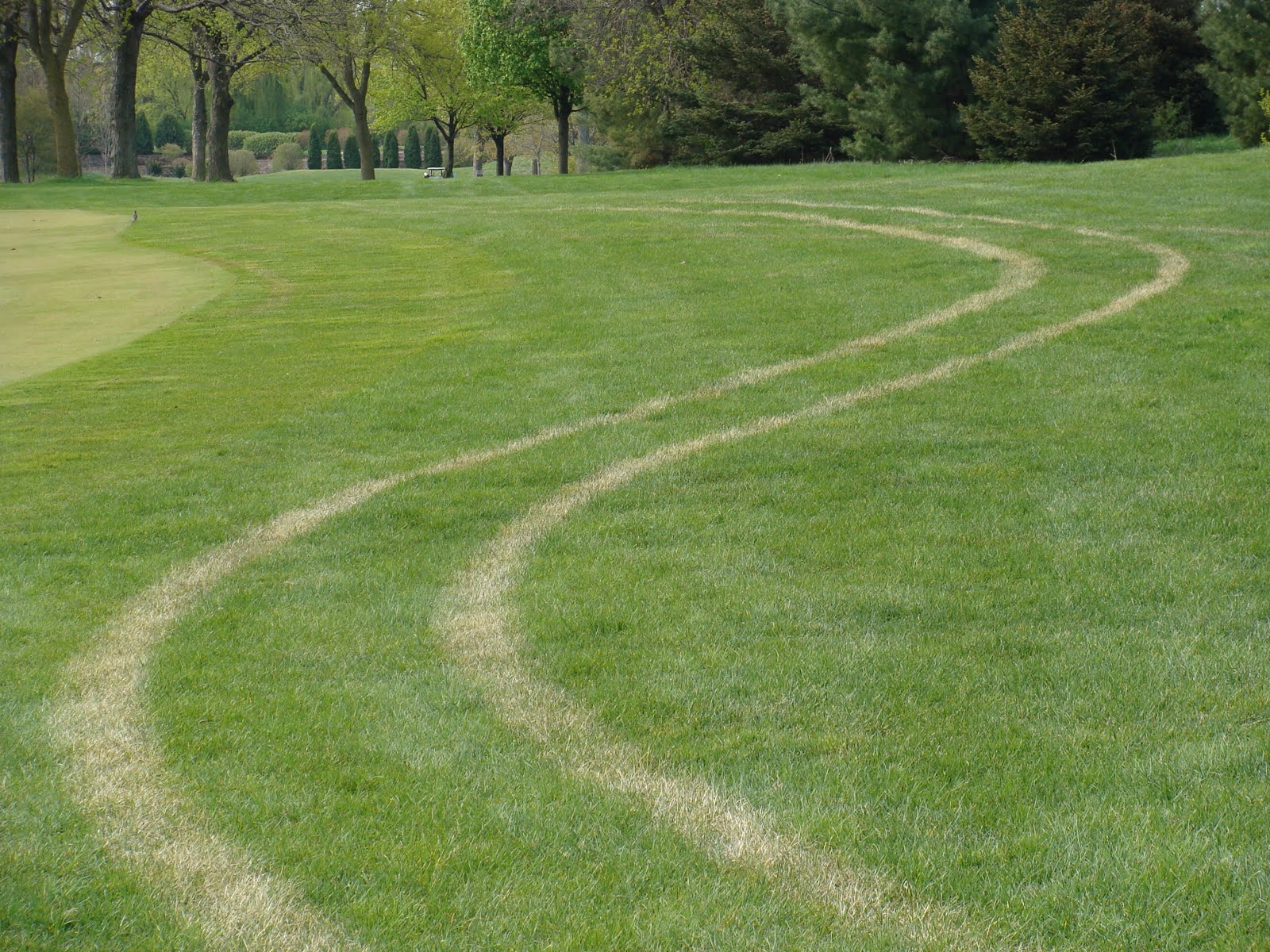 Village Links of Glen Ellyn Grounds Department Frost Delay Updated