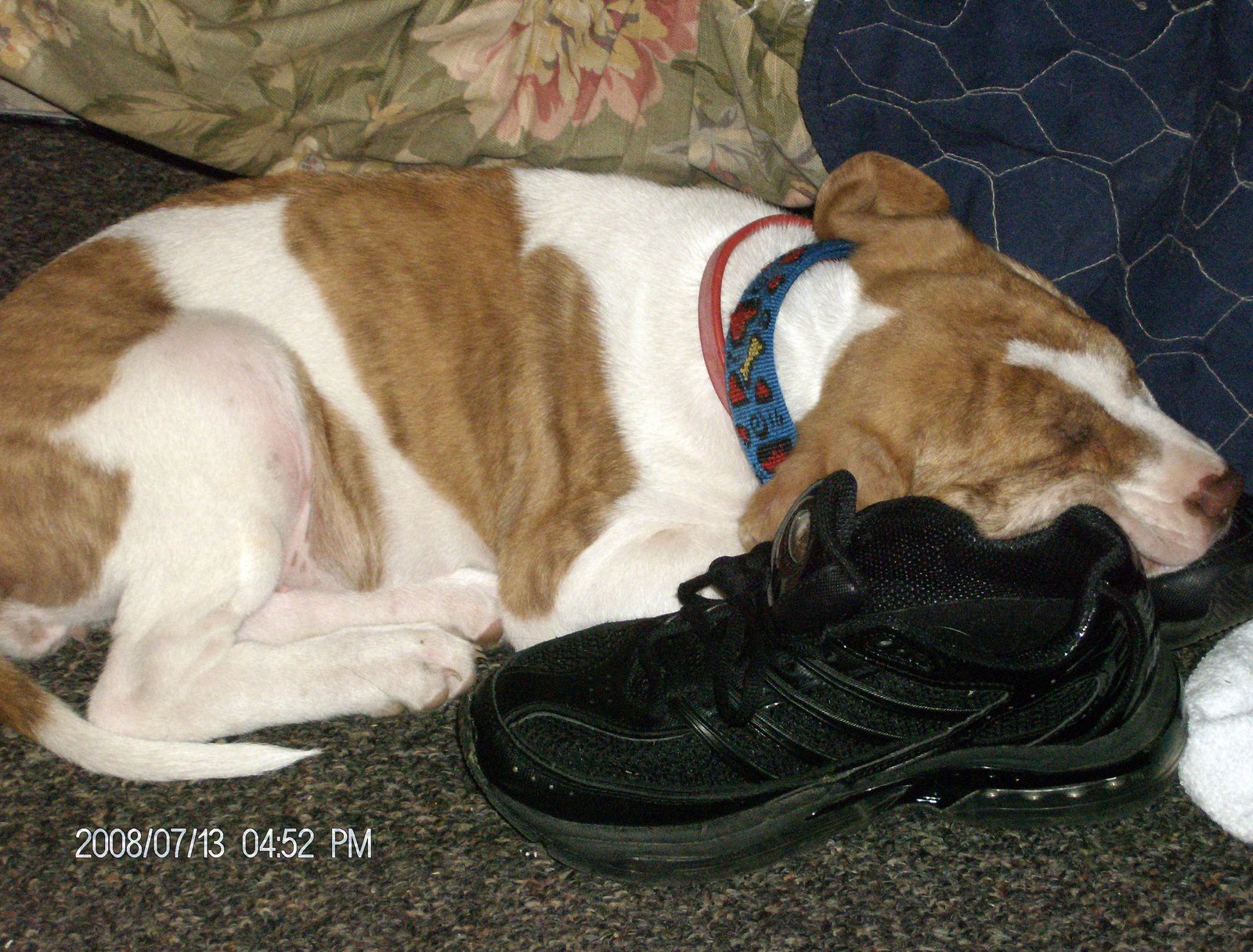 [HPIM5451_edited-2.jpg]