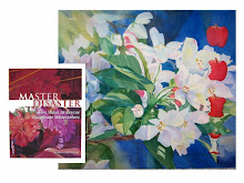 Master Disaster: book & DVD [North Light 2007]