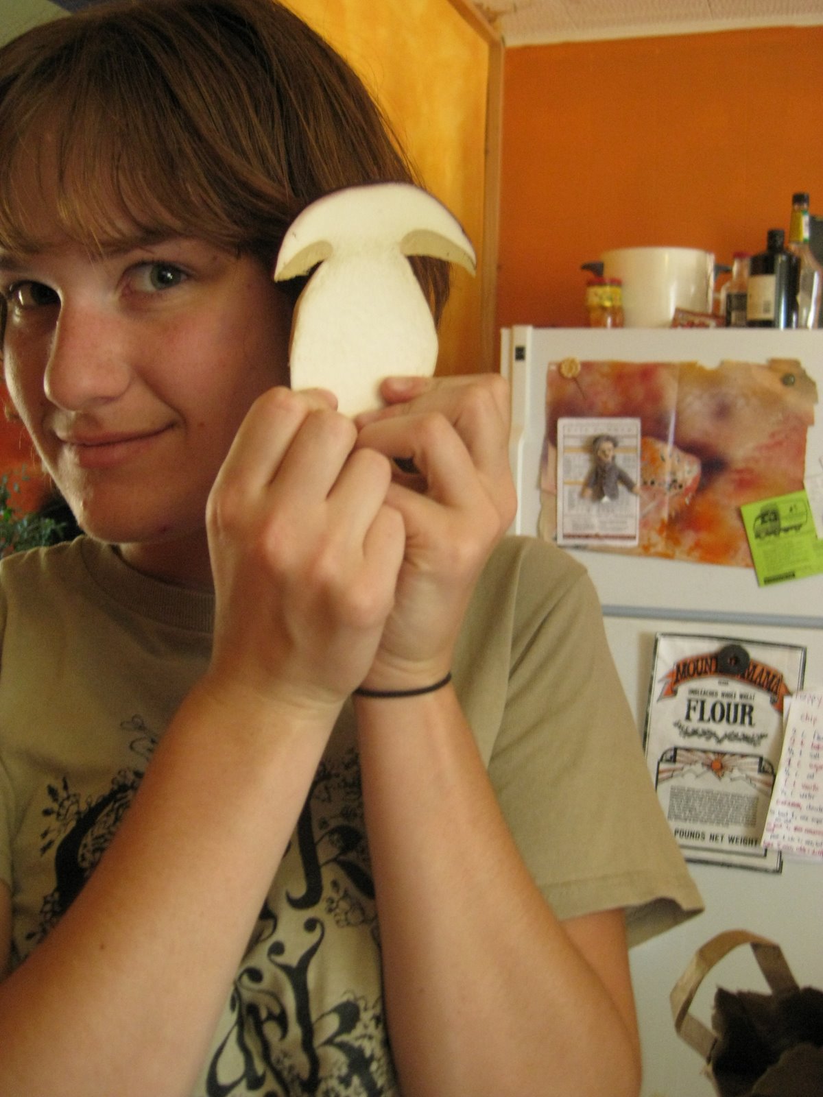 [mushroomslice.JPG]