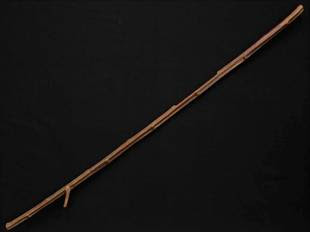 Посох моисея в стамбуле Посох моисея в стамбуле