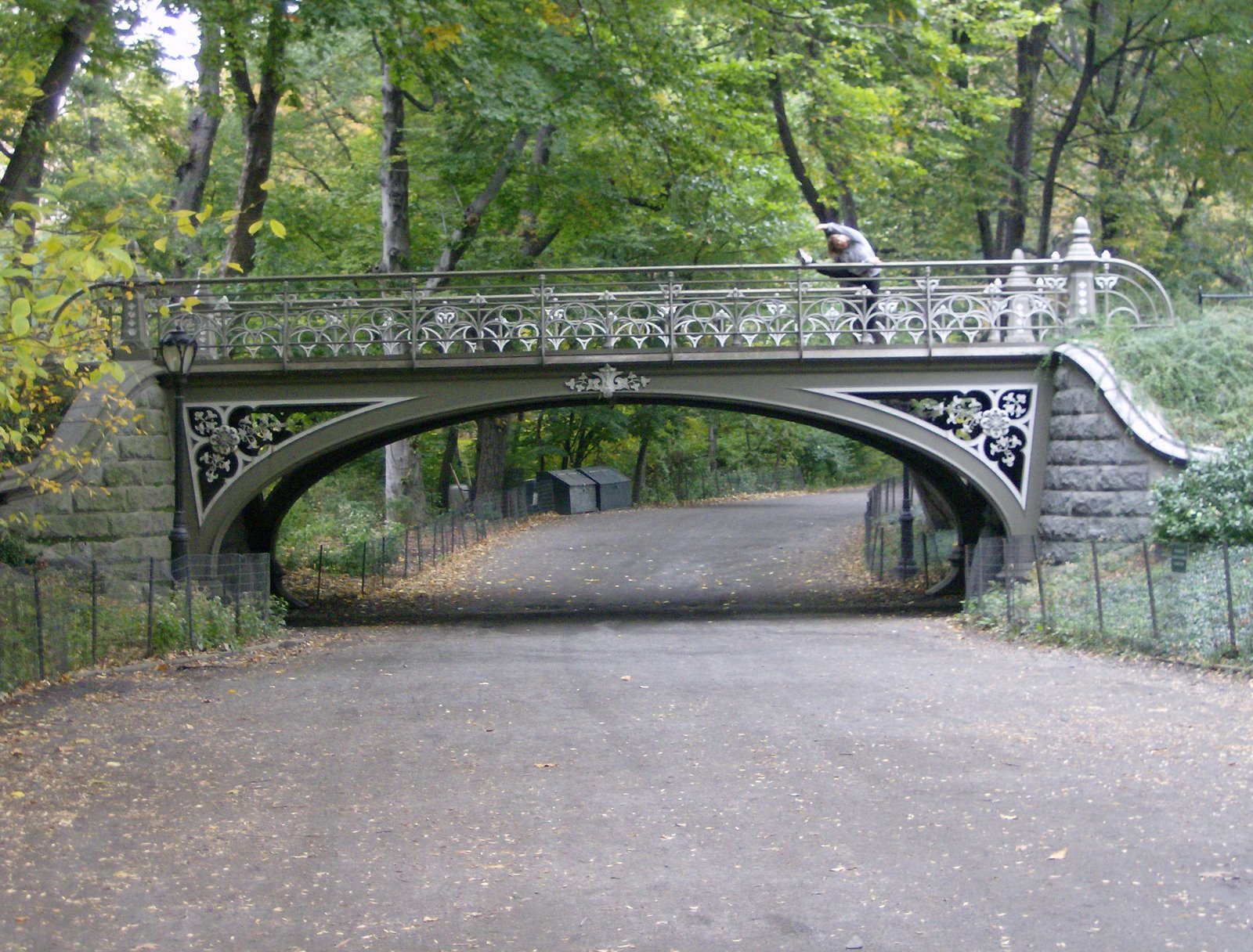 [CentralParkBridge.jpg]