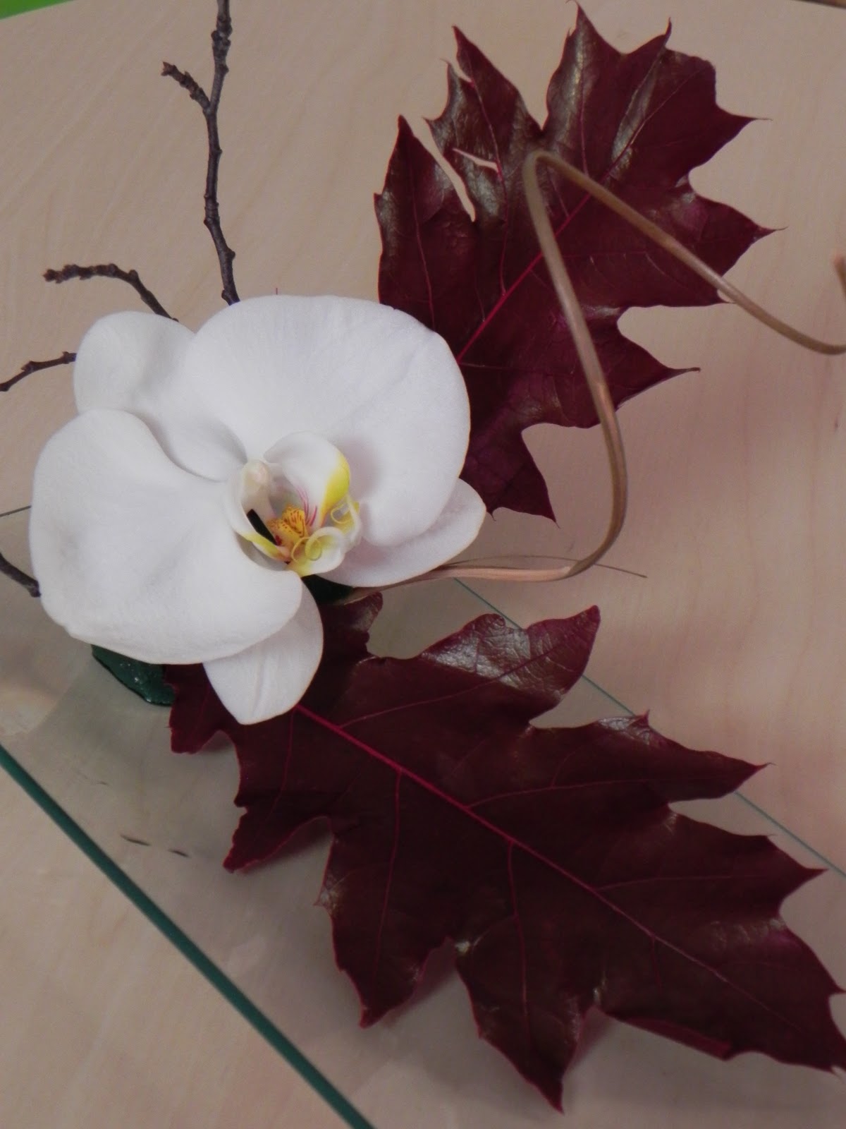 ikebana...arte zen "ikebana Simplicity"