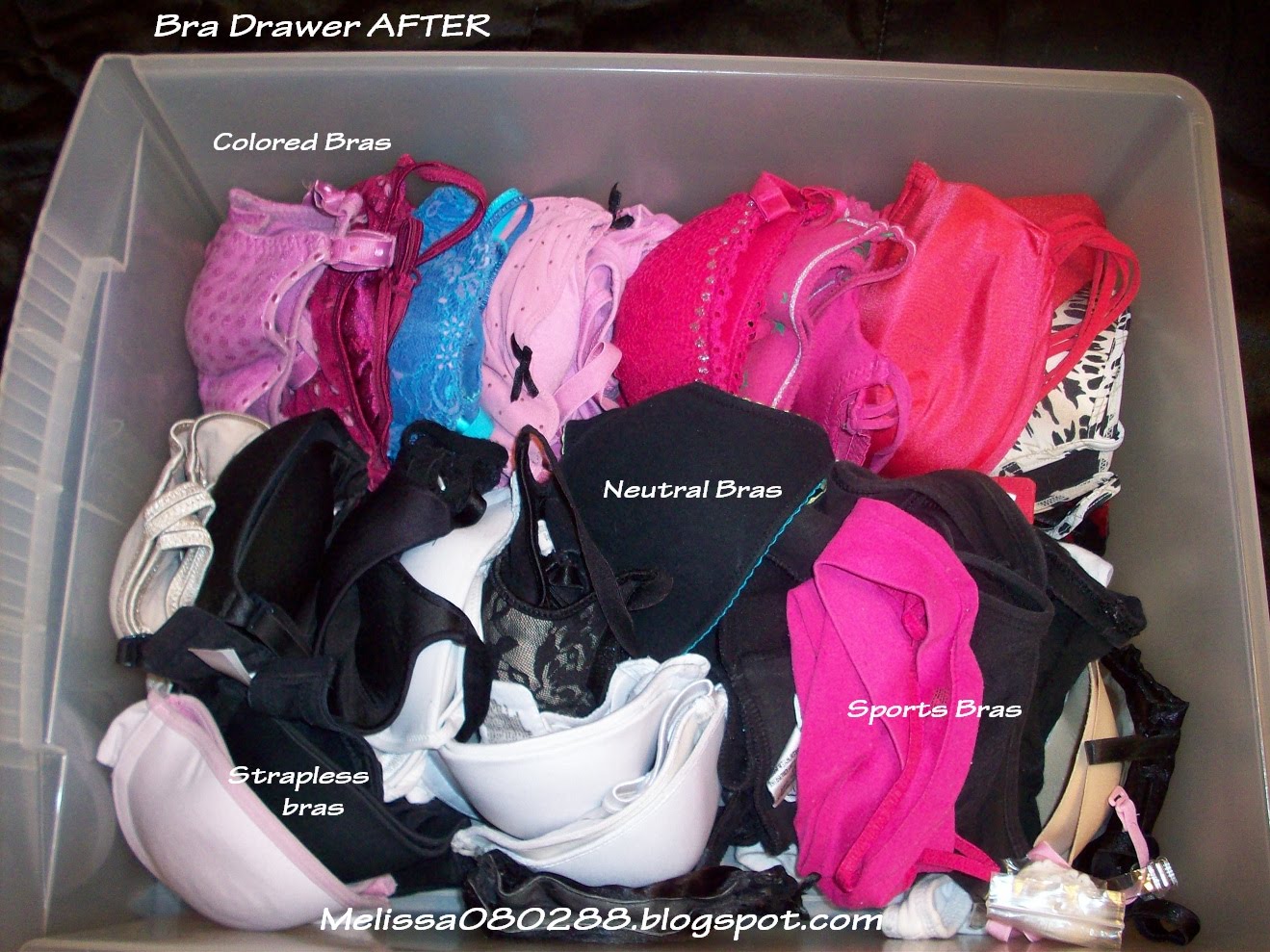Affordable Beauty by Melissa How to organize your Bra's, Undies, Socks