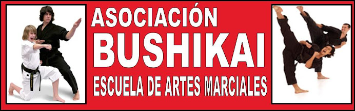 ASOCIACION BUSHIKAI ESCUELA DE ARTES MARCIALES