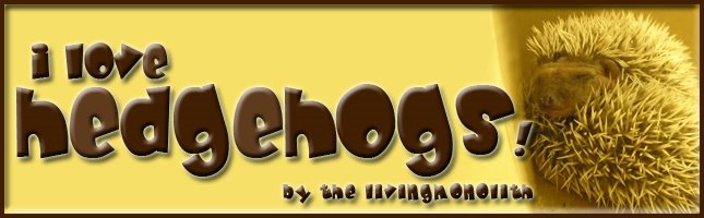 I love Hedgehogs!