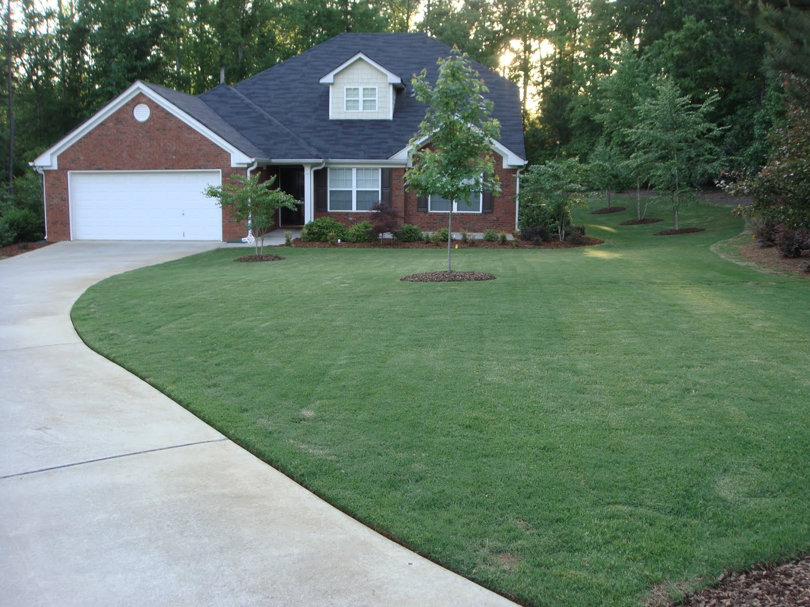 Irrigation Atlanta May 2010