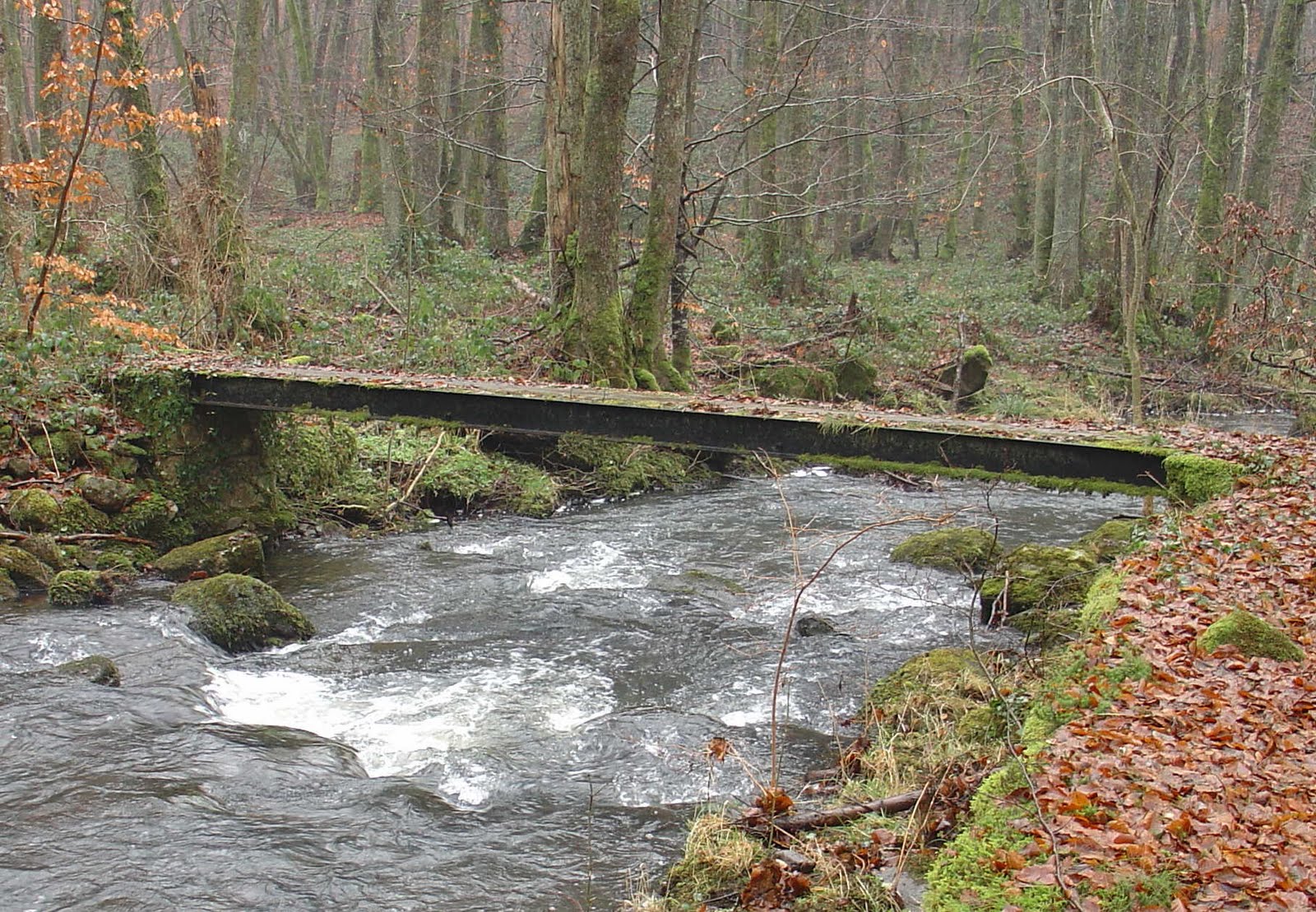 [La+passerelle+en+gros+plan.jpg]