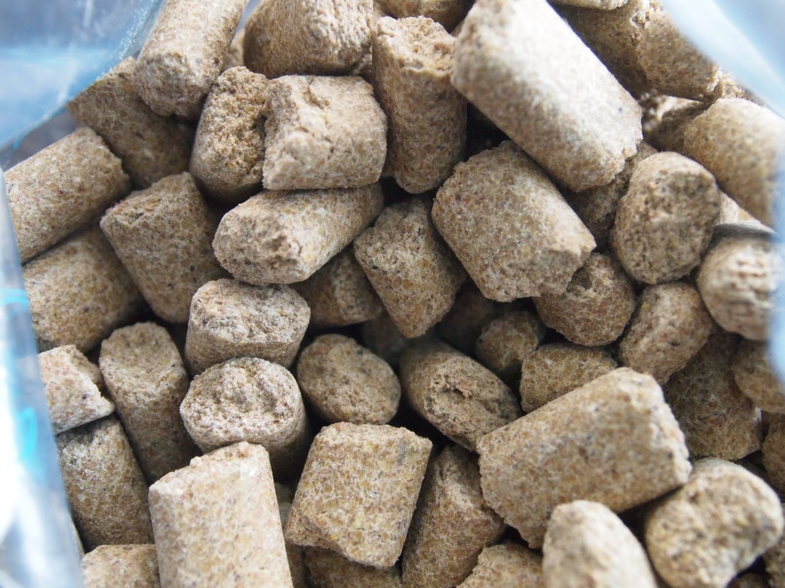 Sean's Mandarin/Pudding Blog Mazuri Lab Blocks