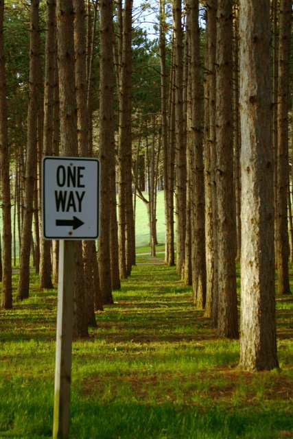 [One+Way.jpg]