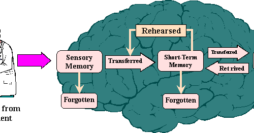 TEACHING AND LEARNING: MY PERSPECTIVE: Information Processing Theory