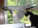 Sydney and Zoe, my animal kids