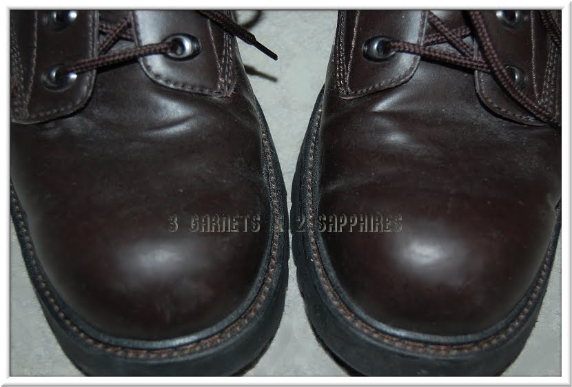 3 & 2 Sapphires Review Carpet CPR & Leather CPR Cleaners