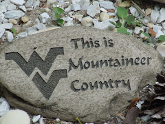 Let"s go Mountaineers !