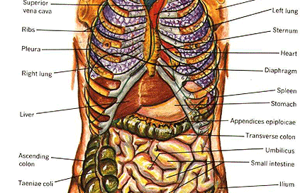 אסמן / ברית מילה לבנו של הרב משה ראובן אסמן