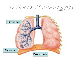 Teaching Science With Love