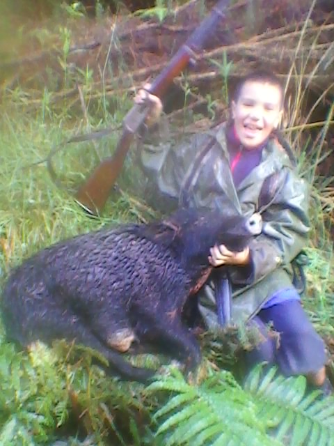 1st pig