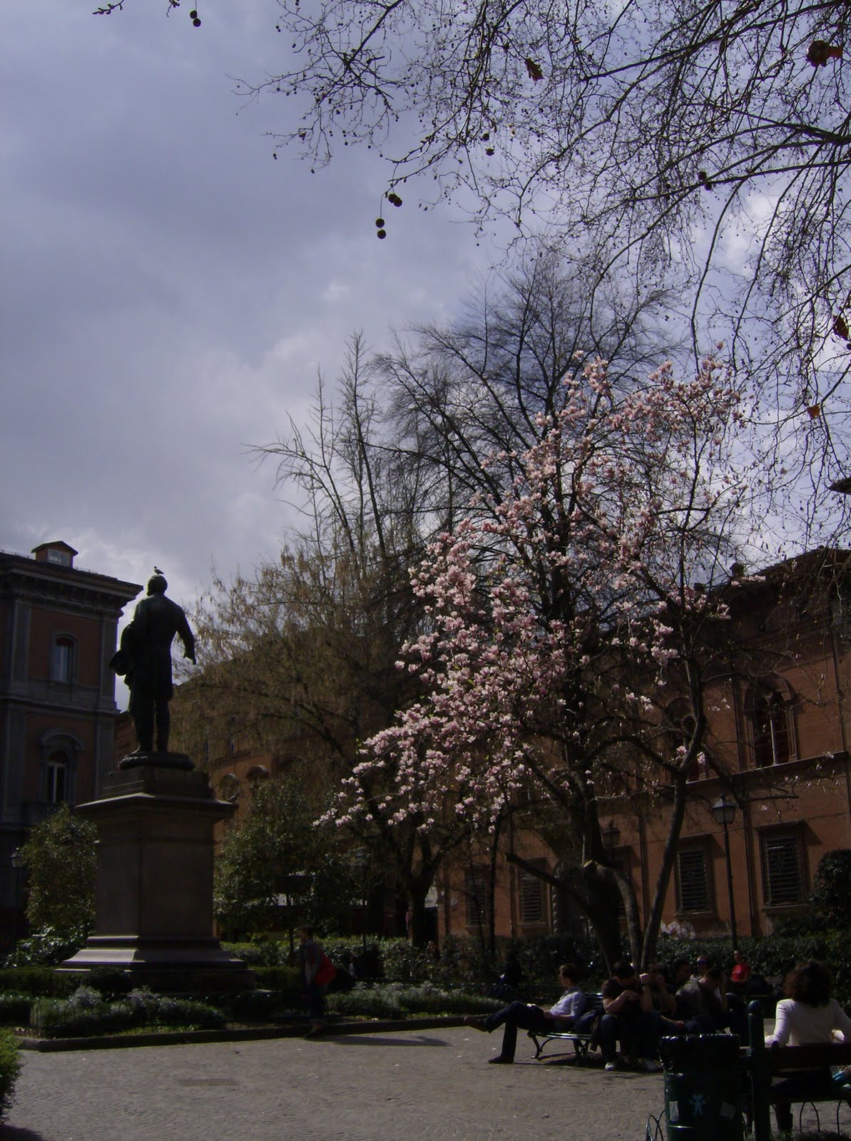 Tee and Cake Bologna spring