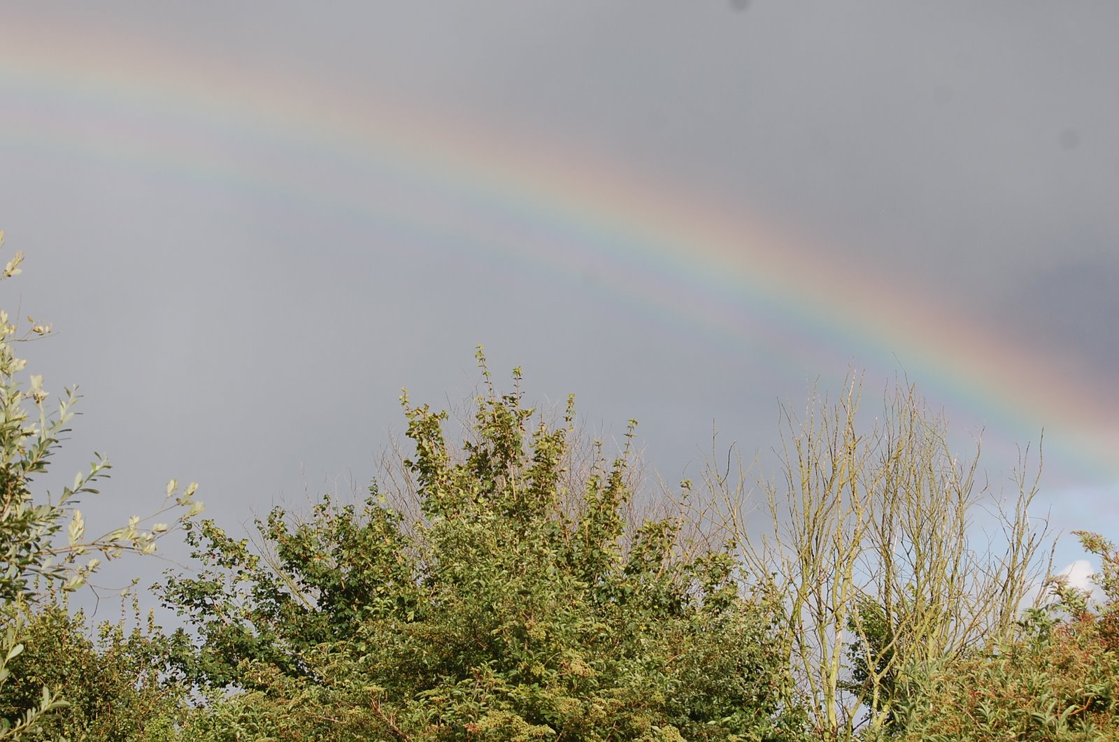 [Titchwell+rainbow+30.07.JPG]