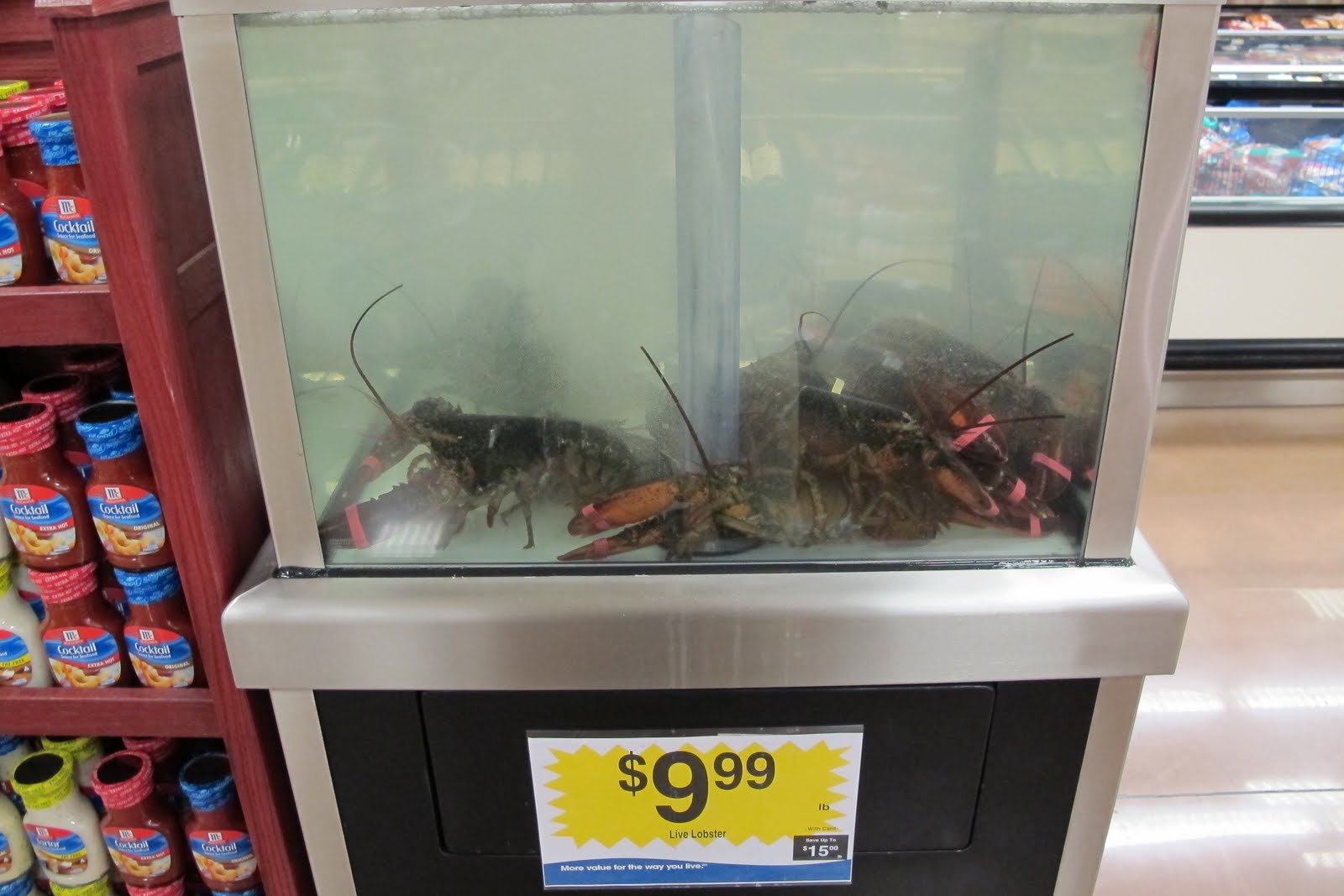 ifthethunderdontgetya™³²®© Got The Kroger Lobster Blues