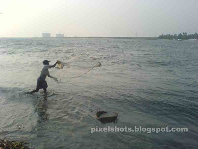 shallow water fishing with nets,sea shore fishing photos from beaches of kerala,fisherman throwing nets,catching fish in kerala beaches,fishing from tides