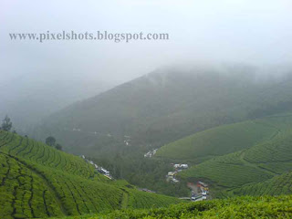 green hills with tea plantations and valleys landscape sceneries from hill station munnar of kerala
