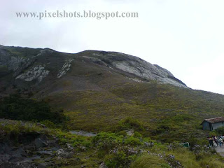 rajamala-hills-munnar,mountain-slop-covered-in-violet-flowers,mountain slope covered in neelakurinjy flowers in munnar tourist spot of kerala