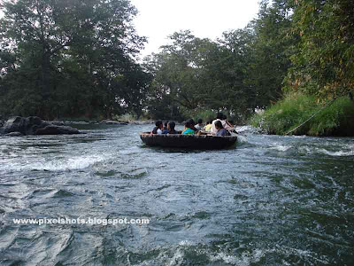 wild river adventure boat journey,basket boats moving through fast river current in hogenekkal a tamilnadu tourist spot in south india