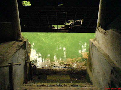 pond in the hill palace surroundings with greenish water and broken pond roof tiles