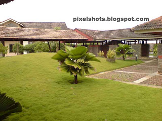 iim calicut campus,lawn inside the management institute of india kerala