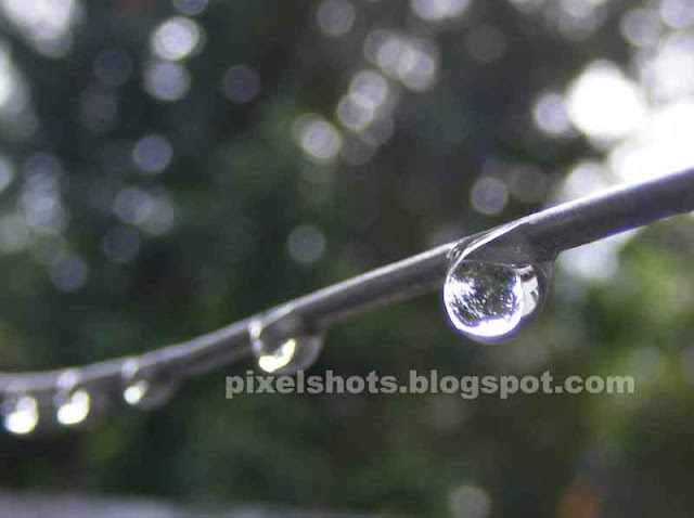 series of rain water drops in a steel wire,macro mode photography of water droplets,line of water drops