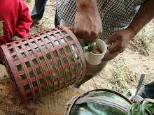 preparando el harinado