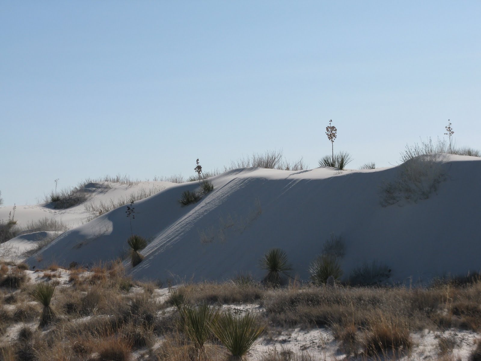 Tarra's Travels White Sands Missile Range & Dunes & Alamagordos