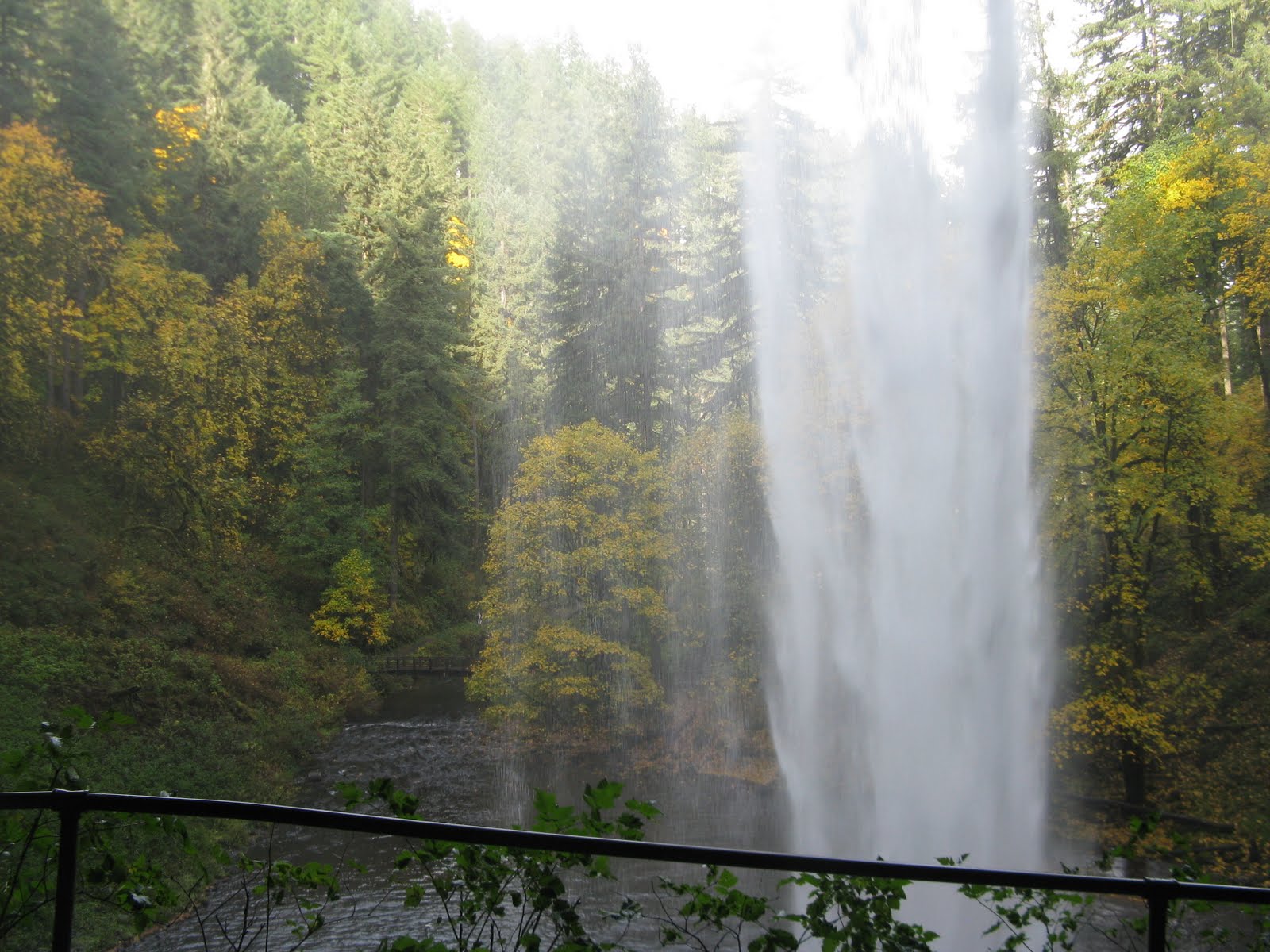 Tarra's Travels Silver Falls State Park, Silverton & Mt. Angel, Oregon