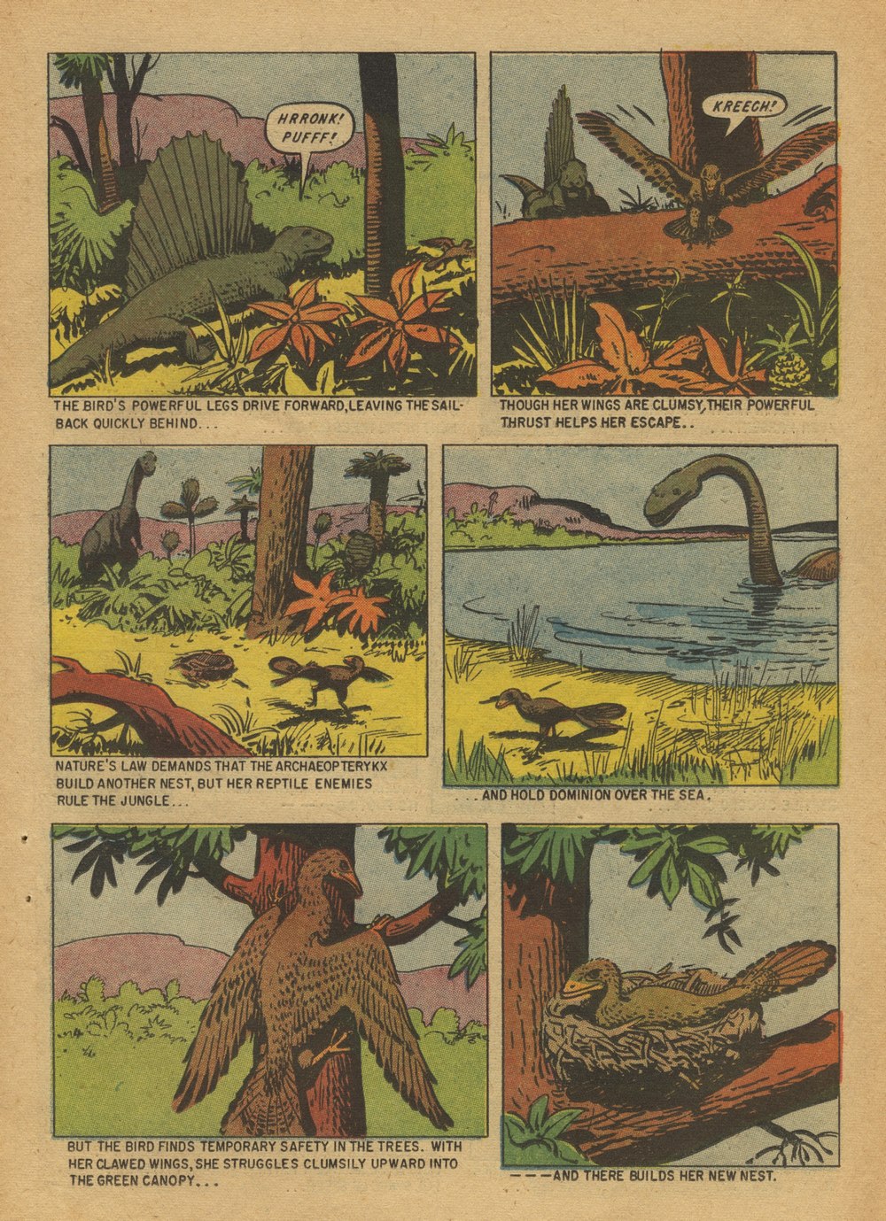 Read online Turok, Son of Stone comic -  Issue #12 - 19