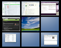 Screen capture of 9 desktops on MacMini with Puppy Linux running in middle desktop
