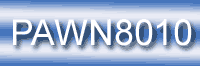 PAWN8010 False Information Pawnbroker Form 539.001.8