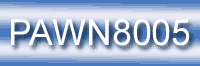 False Information Pawnbroker 539.001.8 FALSE INFO ON PAWNBROKER FORM (OVER $300) PAWN8005