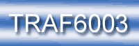Expired Driver's License  Over 4 Months TRAF6003 