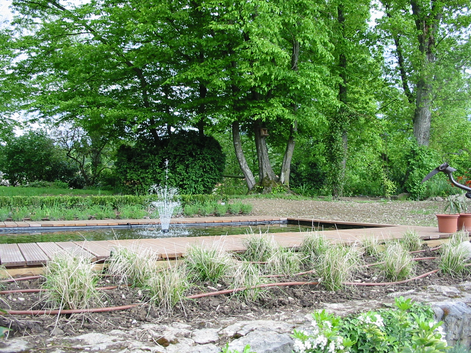Paysagiste et aménagement de jardin à Thonon et Annemasse: Bassin d'agrément