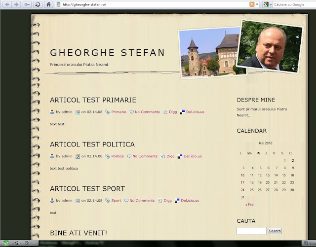 pagina web gheorghe stefan