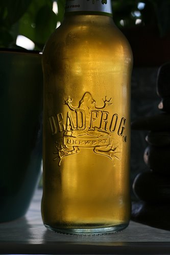 [Dead+Frog+Brewery.jpg]
